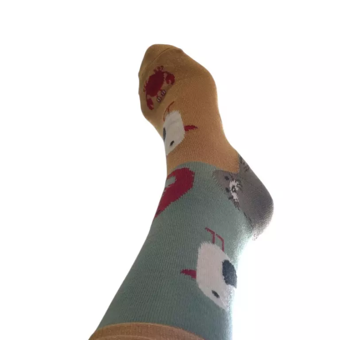 chausettes mer côté gauche