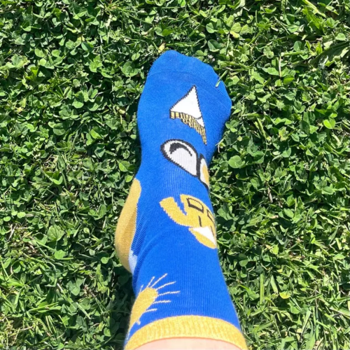 chaussettes moules frites herbe
